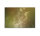 Leinwandbild dutchpastel2 Blumen 90cm x 60 cm