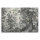 Leinwandbild fancyforest1 Kunst 120cm x 80 cm