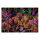 Leinwandbild palmyra1 Blumen 90cm x 60 cm
