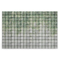 Leinwandbild greenhouse2 Botanik 90cm x 60 cm