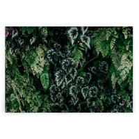 Leinwandbild deepgreen2 Blumen 90cm x 60 cm