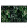 Leinwandbild deepgreen2 Blumen 90cm x 60 cm