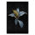 Leinwandbild fiji3 Pflanzen 60cm x 90 cm