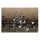 Leinwandbild peacockisland2 Floral 90cm x 60 cm