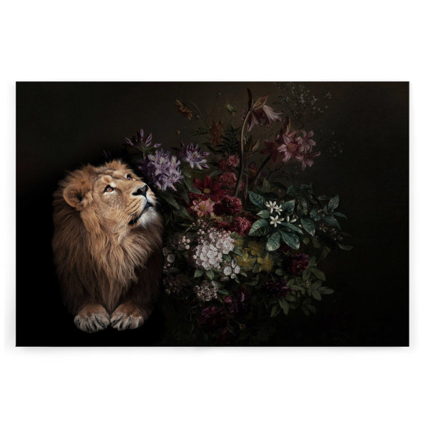 Leinwandbild wildlife2 Tiere 120cm x 80 cm