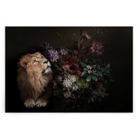 Leinwandbild wildlife2 Tiere 120cm x 80 cm