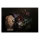 Leinwandbild wildlife2 Tiere 120cm x 80 cm