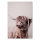 Leinwandbild HighlandCattl1 Tiere 90cm x 60 cm