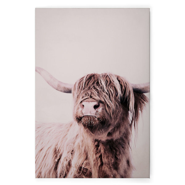 Leinwandbild HighlandCattl1 Tiere 120cm x 80 cm
