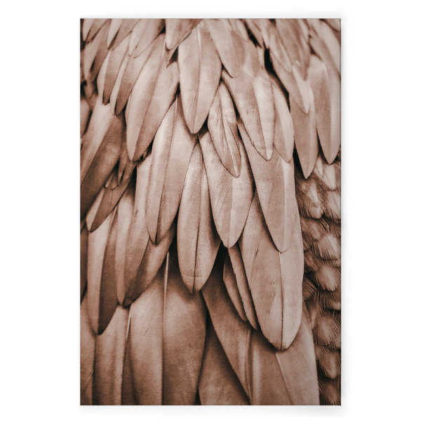 Leinwandbild Feathers1 Federn 90cm x 60 cm