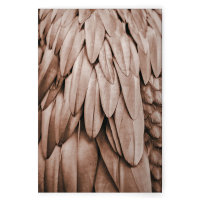 Leinwandbild Feathers1 Federn 90cm x 60 cm