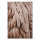 Leinwandbild Feathers1 Federn 90cm x 60 cm