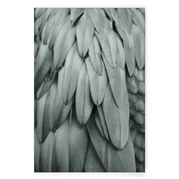 Leinwandbild Feathers2 Federn 90cm x 60 cm