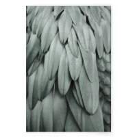 Leinwandbild Feathers2 Federn 120cm x 80 cm