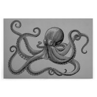 Leinwandbild jules2 Oktopus 120cm x 80 cm