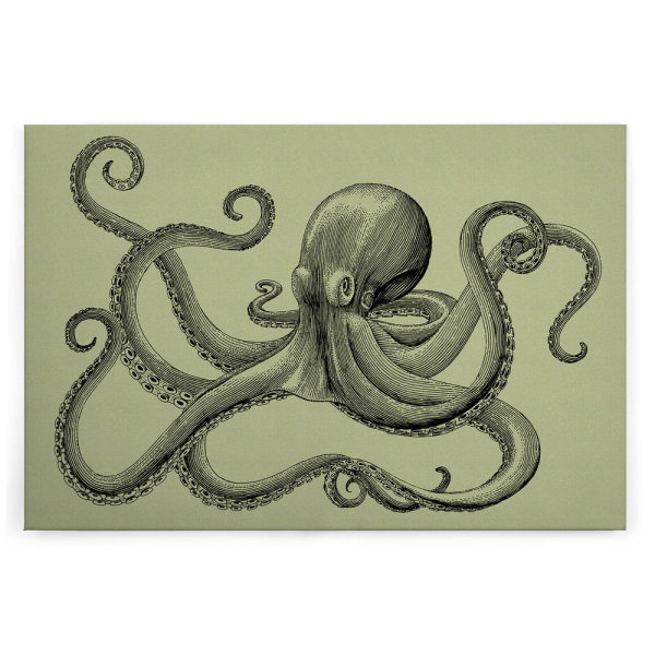 Leinwandbild jules3 Oktopus 120cm x 80 cm