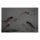 Leinwandbild dancingkois2 Tiere 120cm x 80 cm