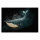 Leinwandbild WalDark Wal 120cm x 80 cm
