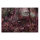 Leinwandbild jungle1 Dschungel 120cm x 80 cm