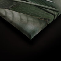 Leinwandbild urbanjungle1 Tropisch 90cm x 60 cm