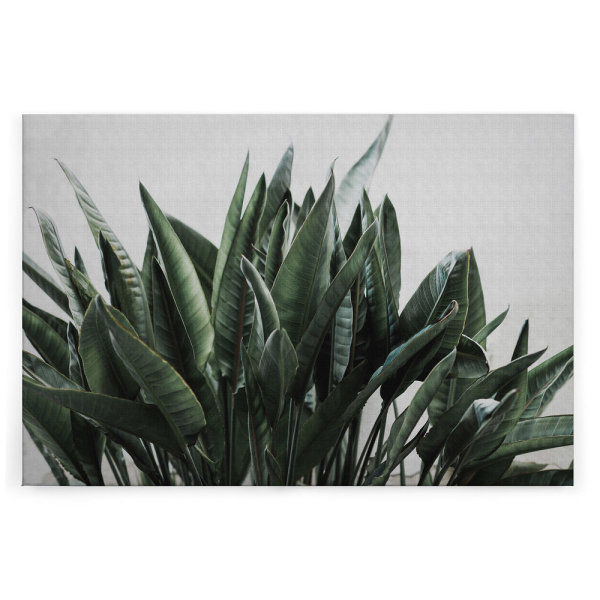 Leinwandbild urbanjungle2 Tropisch 120cm x 80 cm