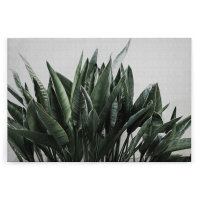 Leinwandbild urbanjungle2 Tropisch 120cm x 80 cm
