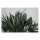 Leinwandbild urbanjungle2 Tropisch 120cm x 80 cm