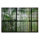 Leinwandbild rainforest1 Dschungel 120cm x 80 cm