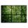 Leinwandbild rainforest2 Dschungel 120cm x 80 cm