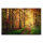 Leinwandbild WaldwegHerbst Wald 120cm x 80 cm