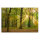 Leinwandbild Eichenwald Wald 90cm x 60 cm