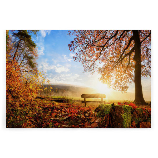 Leinwandbild Herbstmorgen Wald 120cm x 80 cm