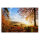 Leinwandbild Herbstmorgen Wald 120cm x 80 cm