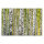 Leinwandbild BirchForest Wald 90cm x 60 cm