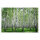Leinwandbild Birkenwald Wald 120cm x 80 cm