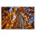 Leinwandbild GlühenderBaum Wald 90cm x 60 cm