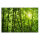 Leinwandbild Bambusnatur Bambus 90cm x 60 cm