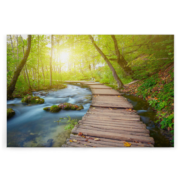 Leinwandbild Holzsteg Natur 90cm x 60 cm