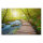 Leinwandbild Holzsteg Natur 120cm x 80 cm