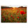 Leinwandbild Blumenfeldrot Blumen 90cm x 60 cm