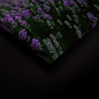 Leinwandbild Lavendelfeld Blumen 90cm x 60 cm