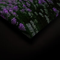 Leinwandbild Lavendelfeld Blumen 120cm x 80 cm