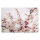 Leinwandbild Kirschblüte Natur 90cm x 60 cm