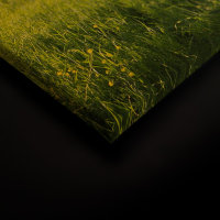 Leinwandbild ToskanaNatur Landschaft 120cm x 80 cm