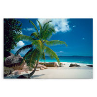 Leinwandbild Palmenstrand Meer 120cm x 80 cm