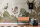 The Wall Wallpaper 7-teilig 3,71 m x 2,80 m