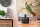 The Wall Wallpaper 7-teilig 3,71 m x 2,80 m