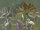 The Wall Wallpaper 7-teilig 3,71 m x 2,80 m