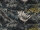 The Wall Wallpaper 7-teilig 3,71 m x 2,80 m