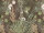 The Wall Wallpaper 7-teilig 3,71 m x 2,80 m
